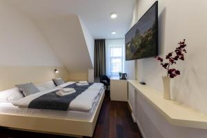 1 dormitorio con 1 cama grande y TV en la pared en Pension Chmelnice, en Napajedla