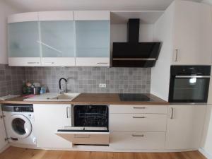 a white kitchen with a sink and a dishwasher at Ferienwohnung mit Terrasse am Rosengarten in Alzenau