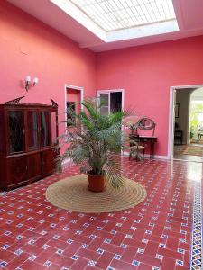a room with a pink wall with a potted plant at Patios del Agua in El Puerto de Santa María
