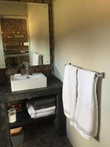 La salle de bains est pourvue d'un lavabo, d'un miroir et de serviettes. dans l'établissement Die Kapokbosskuur, à Nieu-Bethesda