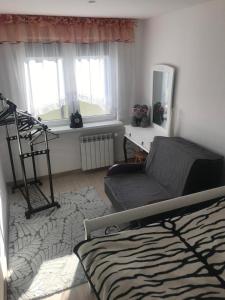 sala de estar con cama, sofá y ventanas en Kasia, en Ełk