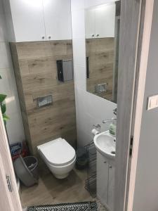 Baño pequeño con aseo y lavamanos en Kasia, en Ełk