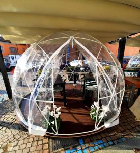 a round greenhouse with some flowers in it at Vinoteca La Sacrestia in Alba