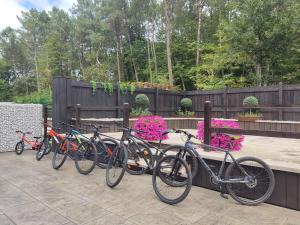 eine Reihe von Fahrrädern neben einem Zaun mit Blumen in der Unterkunft Apartamentos Toffe in Outes