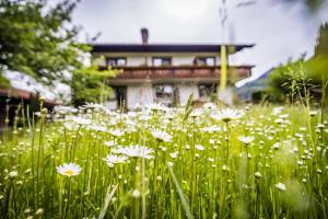 um campo de flores brancas em frente a uma casa em Landhaus Weiß em Bad Reichenhall