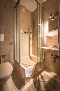 巴特萊辛哈爾的住宿－Landhaus Weiß，带淋浴、卫生间和盥洗盆的浴室
