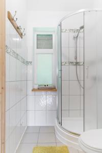 a bathroom with a shower and a toilet and a window at Cērpas in Medemciems