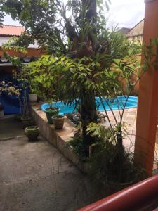 una piscina en un jardín con árboles y plantas en Apartamento Exclusivo, en Campo Grande