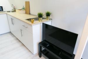 Kuchyňa alebo kuchynka v ubytovaní Venus Apartments - Dohany Street III