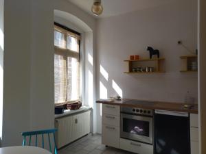 cocina con fogones y ventana en Ferienwohnung im Süden, en Görlitz