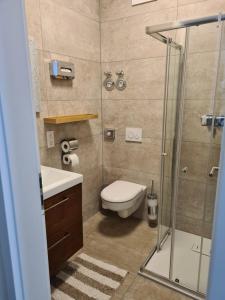 a bathroom with a toilet and a glass shower at Villa Weisse Düne in Göhren