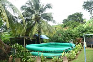 una piscina turchese in un cortile con una palma di Adomi Bridge Garden a Adome