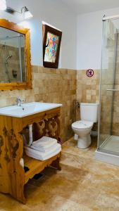 a bathroom with a sink and a toilet and a shower at Casa Belcin Spa&Retreat in Buşteni