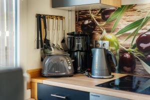 un bancone della cucina con frullatore ed elettrodomestici di Terrassenhaus Waldblick 637 a Hohegeiss