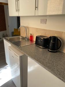 a kitchen counter with a sink and a toaster at A Room at The Oaks in Golden Valley