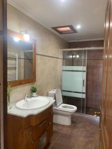 a bathroom with a toilet and a sink and a shower at EL RINCON DE PARRES in Parres de Llanes