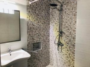 uma casa de banho com um lavatório e um chuveiro em Golden view apartments Myrina Limnos em Myrina