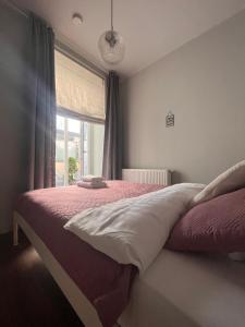 1 dormitorio con 1 cama con manta rosa y ventana en Old Town Apartment, en Cracovia