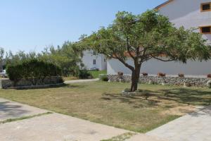 Ogród w obiekcie Apartments by the sea Vlasici, Pag - 6523