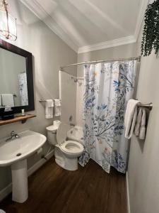 a bathroom with a toilet and a shower curtain at Barksdale House Inn in Charleston