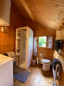 a bathroom in a log cabin with a toilet and a window at Au chalet Fleuri in Ablon