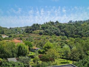 widok na wzgórze z drzewami i domami w obiekcie Alojamento 3 vistas w mieście Sintra