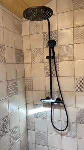 uma casa de banho com uma cabeça de chuveiro em La cabane de marie em Arès