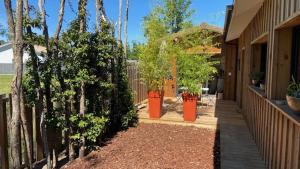 a yard with trees and a fence and a house at La cabane de marie in Arès