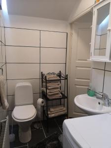 La salle de bains est pourvue de toilettes blanches et d'un lavabo. dans l'établissement Minilägenhet, à Göteborg