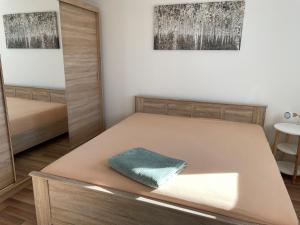 Posteľ alebo postele v izbe v ubytovaní Apartmán Studnice na Vysočině