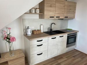 Kuchyňa alebo kuchynka v ubytovaní Apartmán Studnice na Vysočině