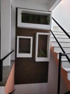 two windows on a wall with plants in them at Pousada Dom Kilmer in Fortaleza