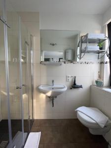 a bathroom with a sink and a toilet and a shower at Hotel Hegemann garni in Hövelhof