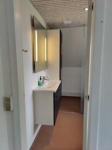 La salle de bains est pourvue d'un lavabo et d'un miroir. dans l'établissement Bjergby Guesthouse, à Hjørring