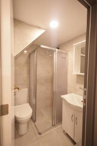 a bathroom with a shower and a toilet and a sink at Bonita Apart in Istanbul
