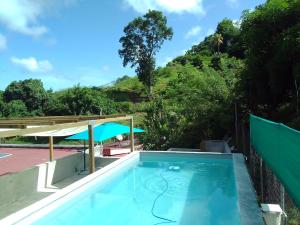 a swimming pool with a mountain in the background at La Poulette amazonienne in La Mauny