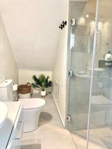 a bathroom with a toilet and a glass shower at The Backyard in Éva
