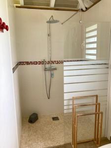 La salle de bains est pourvue d'une douche et d'une porte en verre. dans l'établissement Cottages du Lagon, à Saint-François