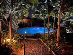- une piscine avec des palmiers la nuit dans l'établissement Cottages du Lagon, à Saint-François