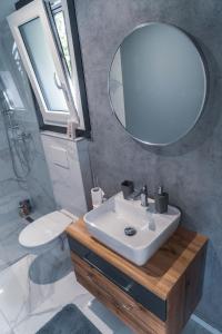 a bathroom with a sink and a mirror and a toilet at Mobilna hiška pod Lipo in Velenje