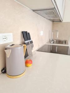 Una encimera de cocina con una olla y una manzana encima. en LE RIVE HOLIDAYS, en Desenzano del Garda