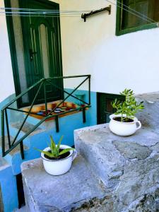 Φωτογραφία από το άλμπουμ του Casa Fidel. σε Seoane