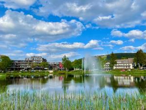 a pond with a fountain in front of buildings at Ferienwohnung Harzurlaub in Hahnenklee-Bockswiese