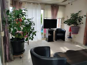 Televízia a/alebo spoločenská miestnosť v ubytovaní La petite maison de Paule