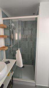 a bathroom with a shower and a sink at Eden 122 in Albi