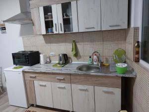 um balcão de cozinha com um lavatório e um micro-ondas em Azalea em Prilepo