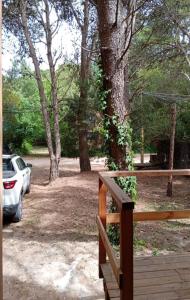 un porche con un coche aparcado en un parque con árboles en descanso, en Mar Azul