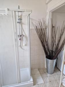 a shower in a bathroom with a potted plant at FRANGI HOUSE in Pescara +35 photos