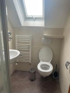 a small bathroom with a toilet and a sink at Old town comfort and cozy apartment in Dachau