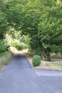 a path in the middle of a park with trees at Unterkunft in Bergneustadt in Bergneustadt